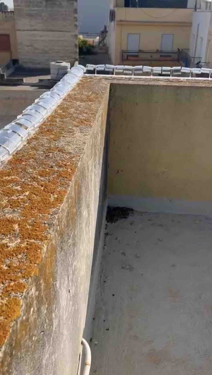 Dissuasore installato sul parapetto di un edificio privato a Erice.
